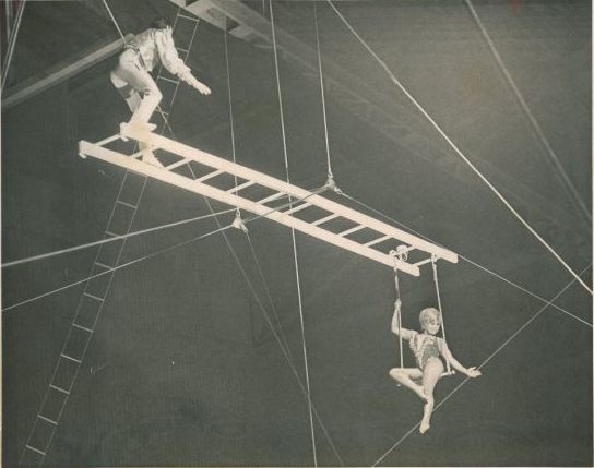 Death-Defying